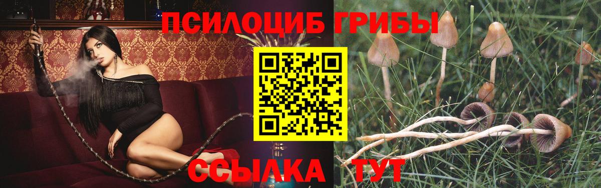 Псилоцибиновые грибы мухоморы Ефремов