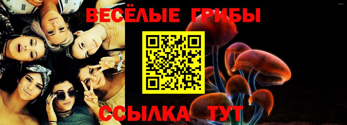 Псилоцибиновые грибы мухоморы  Вход с VPN  Ефремов 
